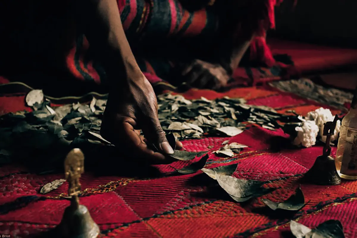 Unwrapping The Mystique Of The Coca Leaf Ceremony In The Heart Of The Andes