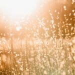 Solar Energy and You: Unraveling the Mysteries of Sun Magic