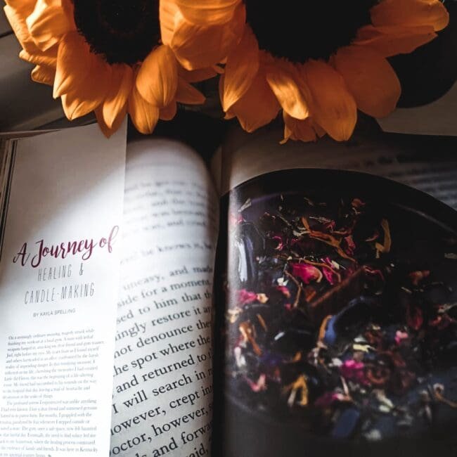 Willow & Sage Kayla Spelling Article