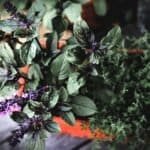 Harmonize with Nature A Libra's Guide to Spiritual Herbs