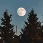 Harvest Moon Magic: Nature's Bounty and New Beginnings