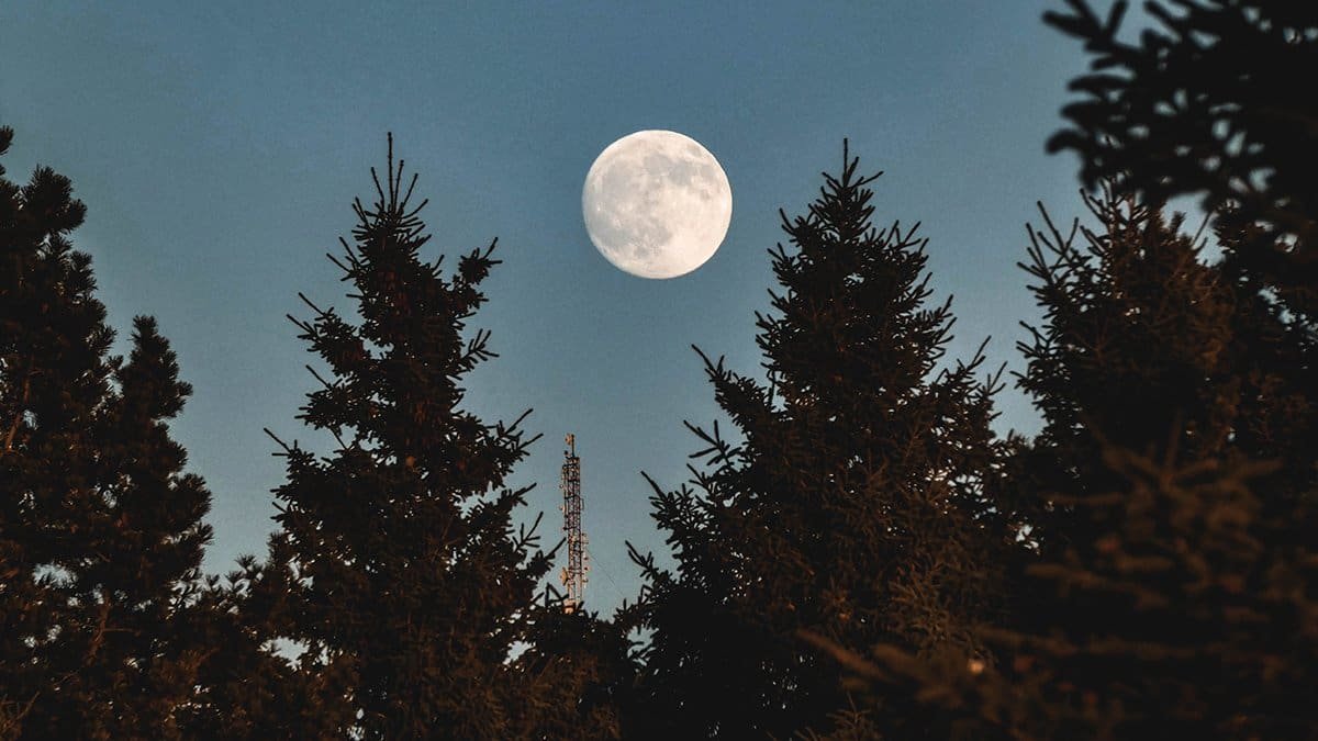 Harvest Moon Magic: Nature's Bounty and New Beginnings