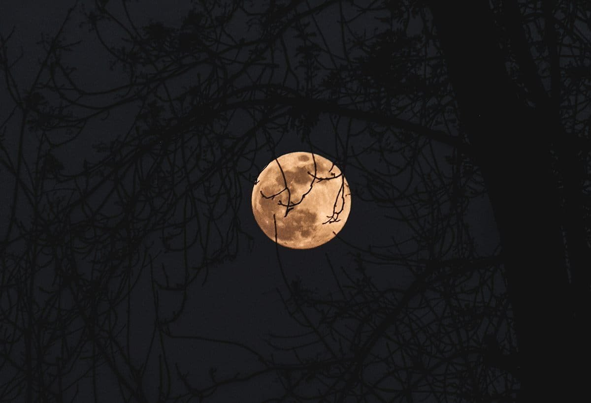 Illuminating the Hunter's Moon: Magic, Lore, and Cultural Significance