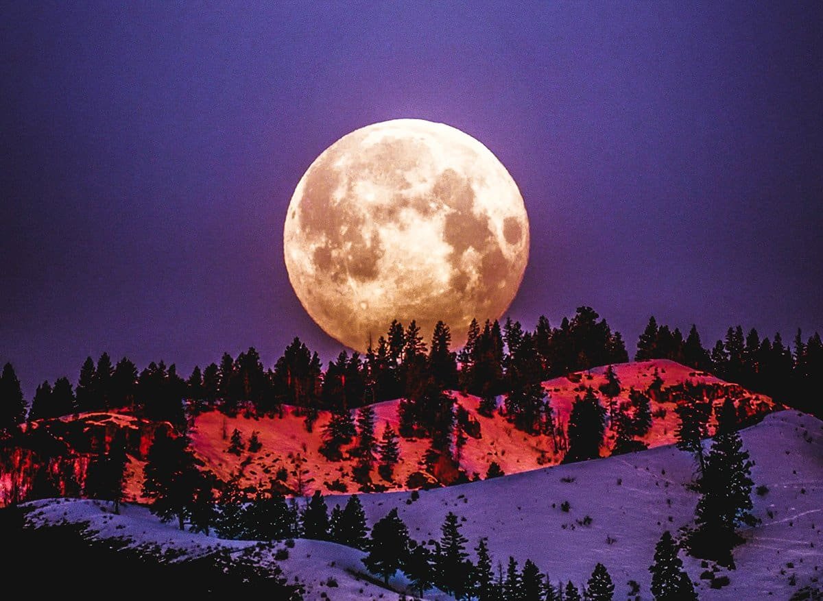 Snow Moon in Leo 2025: Ignite Your Inner Fire