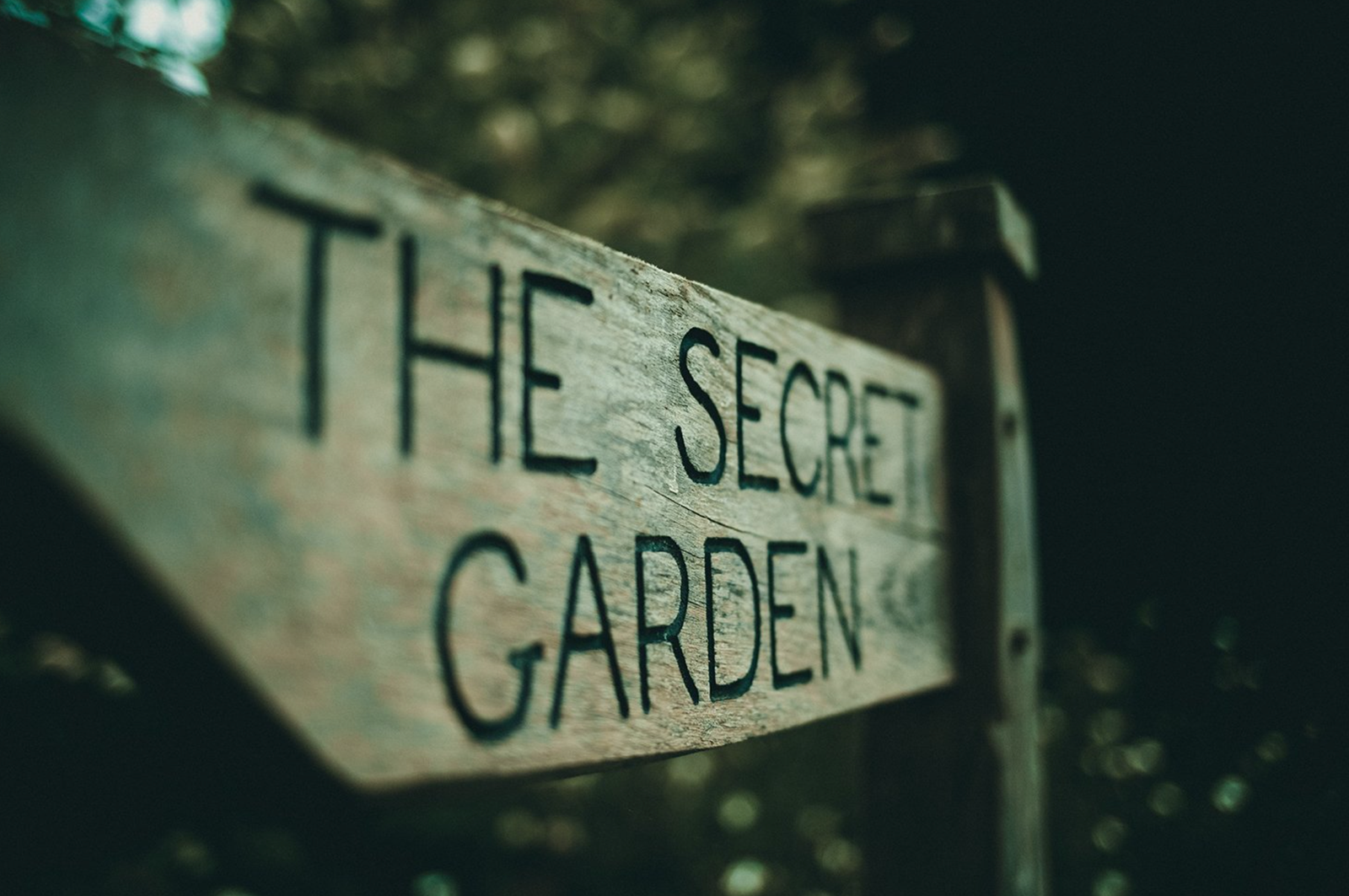 How to Create a Sacred Garden: A Magical Space for Ritual and Spiritual Growth